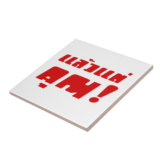 Tot jou! ĀLaeo Tae Khun in Thai Language Ā Tegeltje (Zijkant)