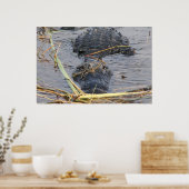 Tot Later Alligator Poster (Keuken)