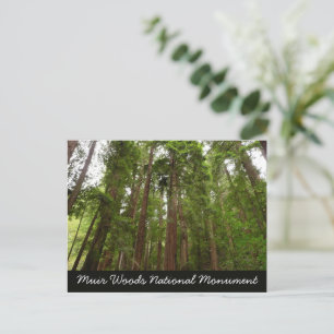 Tot Redwoods I in Muir Woods National Monument Briefkaart