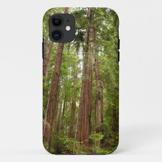 Tot Redwoods I in Muir Woods National Monument Case-Mate iPhone Case (Achterkant)