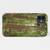 Tot Redwoods I in Muir Woods National Monument Case-Mate iPhone Case (Achterkant (horizontaal))