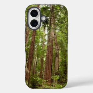 Tot Redwoods I in Muir Woods National Monument iPhone 16 Hoesje