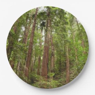 Tot Redwoods I in Muir Woods National Monument Papieren Bordje