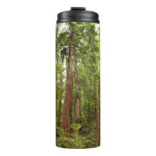 Tot Redwoods I in Muir Woods National Monument Thermosbeker