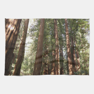 Tot Redwoods II bij Muir Woods National Monument Theedoek