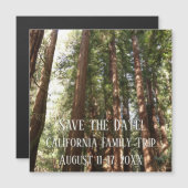 Tot Redwoods II in Muir Bossen National Monument (Voorkant / Achterkant)