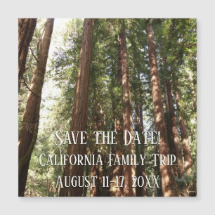 Tot Redwoods II in Muir Bossen National Monument