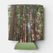 Tot Redwoods II in Muir Bossen National Monument Blikjeskoeler (Achterkant)