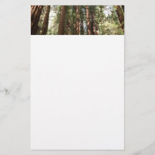 Tot Redwoods II in Muir Bossen National Monument Briefpapier