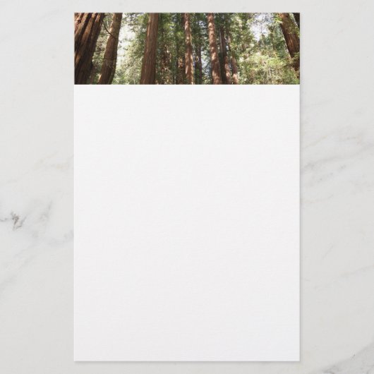 Tot Redwoods II in Muir Bossen National Monument Briefpapier (Voorkant)