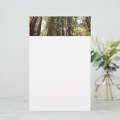Tot Redwoods II in Muir Bossen National Monument Briefpapier (Staand voorkant)