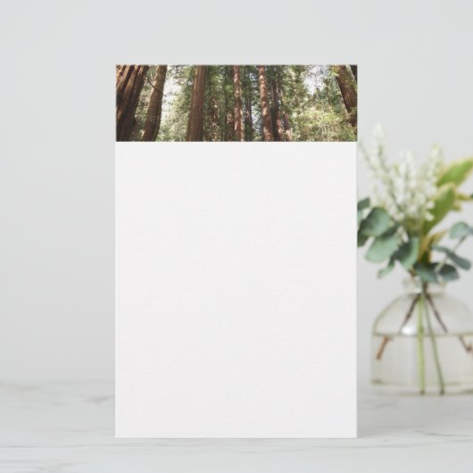 Tot Redwoods II in Muir Bossen National Monument Briefpapier (Staand voorkant)
