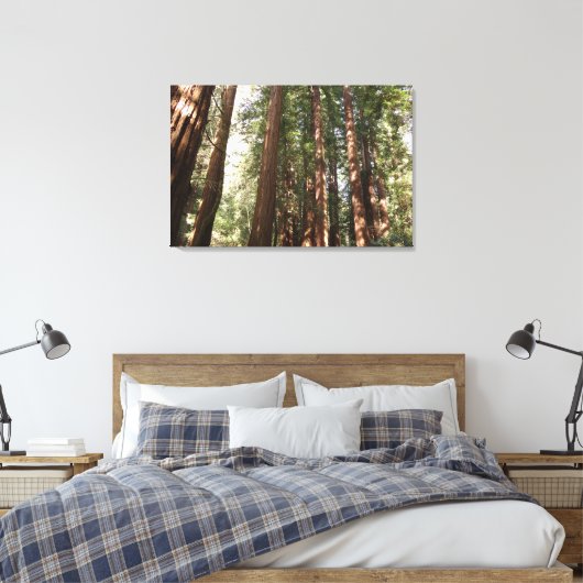 Tot Redwoods II in Muir Bossen National Monument Canvas Afdruk (Insitu (Slaapkamer))