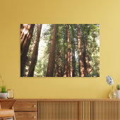 Tot Redwoods II in Muir Bossen National Monument Canvas Afdruk (Insitu (Woonkamer))
