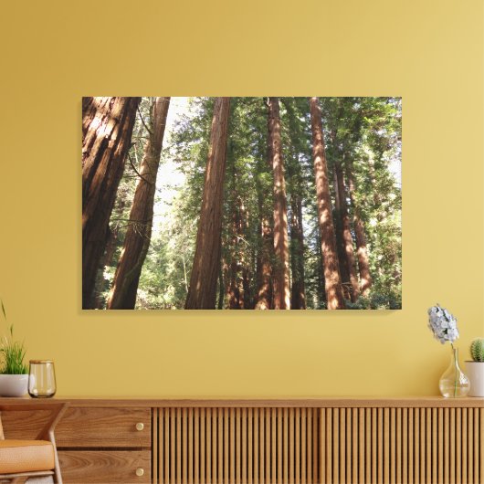 Tot Redwoods II in Muir Bossen National Monument Canvas Afdruk (Insitu (Woonkamer))