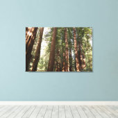Tot Redwoods II in Muir Bossen National Monument Canvas Afdruk (Insitu (Houten vloer))