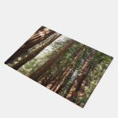 Tot Redwoods II in Muir Bossen National Monument Deurmat (Schuin)