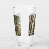 Tot Redwoods II in Muir Bossen National Monument Glas (Rechts)