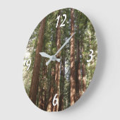 Tot Redwoods II in Muir Bossen National Monument Grote Klok (Hoek)