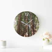 Tot Redwoods II in Muir Bossen National Monument Grote Klok (Huis)