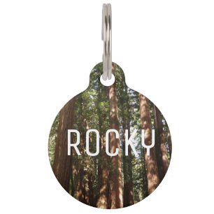 Tot Redwoods II in Muir Bossen National Monument Huisdierpenning