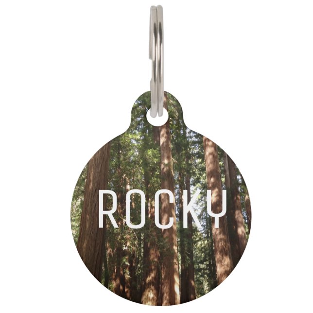 Tot Redwoods II in Muir Bossen National Monument Huisdierpenning (Voorkant)