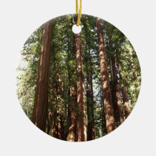 Tot Redwoods II in Muir Bossen National Monument Keramisch Ornament (Voorkant)