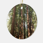 Tot Redwoods II in Muir Bossen National Monument Keramisch Ornament (Links)