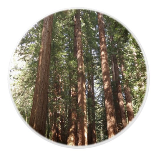 Tot Redwoods II in Muir Bossen National Monument Keramische Knop (Voorkant)