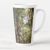 Tot Redwoods II in Muir Bossen National Monument Latte Mok (Rechts)