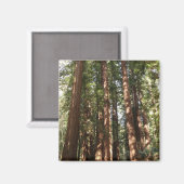 Tot Redwoods II in Muir Bossen National Monument Magneet (Voorkant / Achterkant)