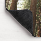 Tot Redwoods II in Muir Bossen National Monument Muismat (Hoek)