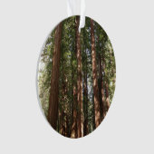 Tot Redwoods II in Muir Bossen National Monument Ornament (voorkant)