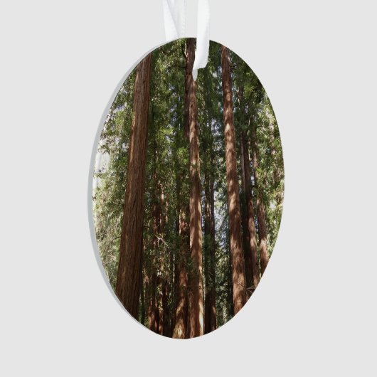 Tot Redwoods II in Muir Bossen National Monument Ornament (voorkant)