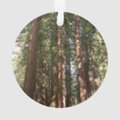 Tot Redwoods II in Muir Bossen National Monument Ornament (achterkant)