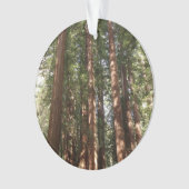 Tot Redwoods II in Muir Bossen National Monument Ornament (voorkant)