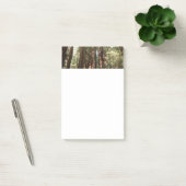 Tot Redwoods II in Muir Bossen National Monument Post-it® Notes (Kantoor)