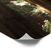 Tot Redwoods II in Muir Bossen National Monument Poster (Hoek)