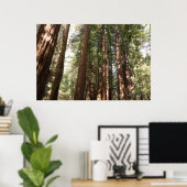 Tot Redwoods II in Muir Bossen National Monument Poster (Thuiskantoor)