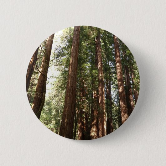 Tot Redwoods II in Muir Bossen National Monument Ronde Button 5,7 Cm (Voorkant)