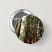 Tot Redwoods II in Muir Bossen National Monument Ronde Button 5,7 Cm (Voorkant /achterkant)