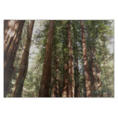 Tot Redwoods II in Muir Bossen National Monument Snijplank (Voorkant)