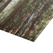 Tot Redwoods II in Muir Bossen National Monument Snijplank (Hoek)