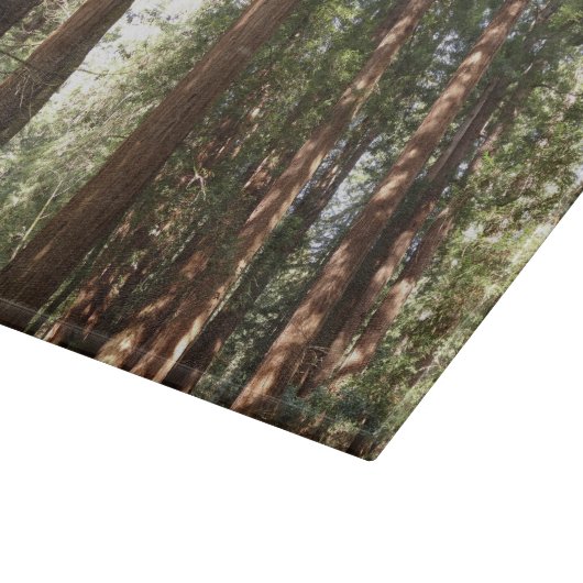 Tot Redwoods II in Muir Bossen National Monument Snijplank (Hoek)