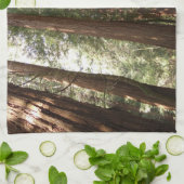 Tot Redwoods II in Muir Bossen National Monument Theedoek (Gevouwen)