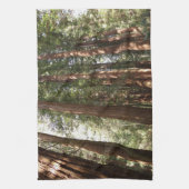 Tot Redwoods II in Muir Bossen National Monument Theedoek (Verticaal)