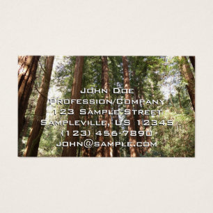 Tot Redwoods II in Muir Bossen National Monument Visitekaartje