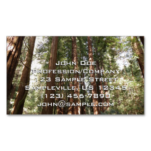 Tot Redwoods II in Muir Woods National Monument Magnetisch Visitekaartje