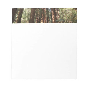 Tot Redwoods II in Muir Woods National Monument Notitieblok