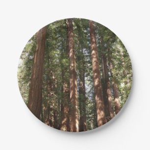 Tot Redwoods II in Muir Woods National Monument Papieren Bordje